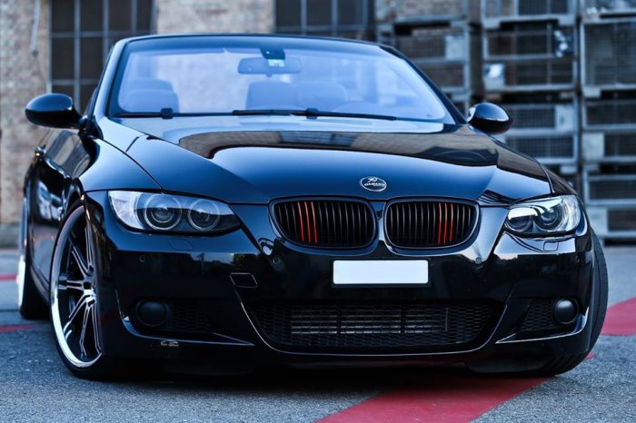 Black Beast ..