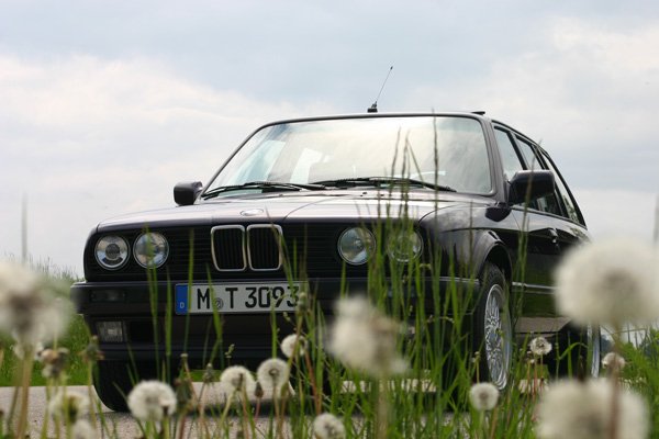 06.jpg