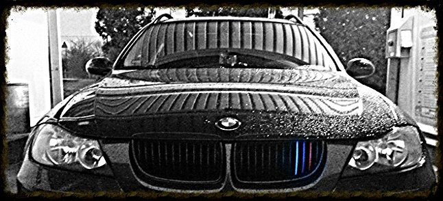 aviary_1427657279485.jpg