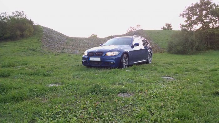 335is Style Nieren