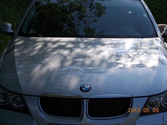 DSCN0002.jpg