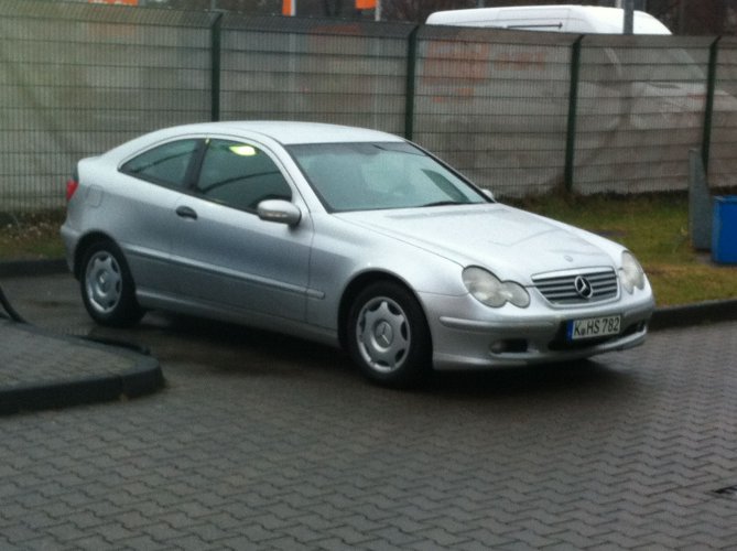 Meine babys