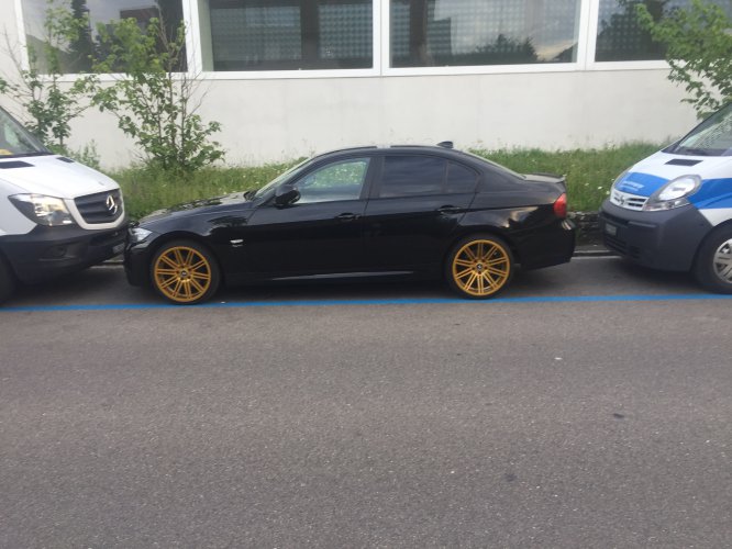 Black Gold