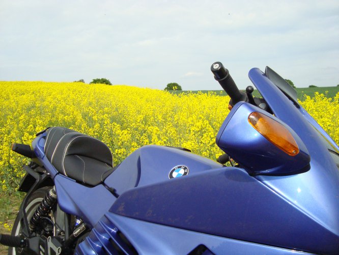 "Rapsblüte" mal anders BMWKIIOORS