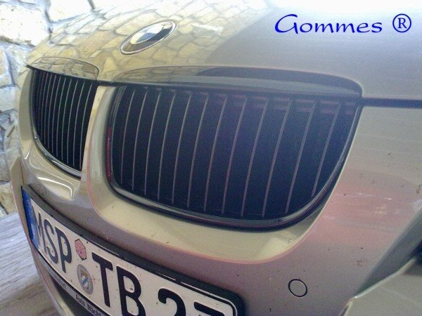 BMW Performance Nieren