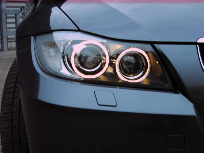 Nice Eyes.JPG
