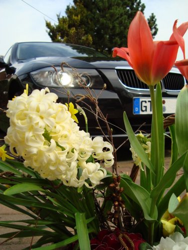 E90 Frühling