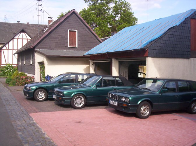 fast alle drauf