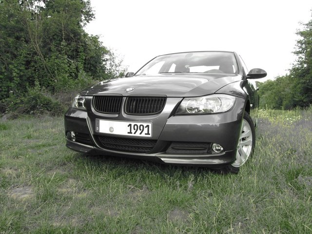 img0342f.jpg