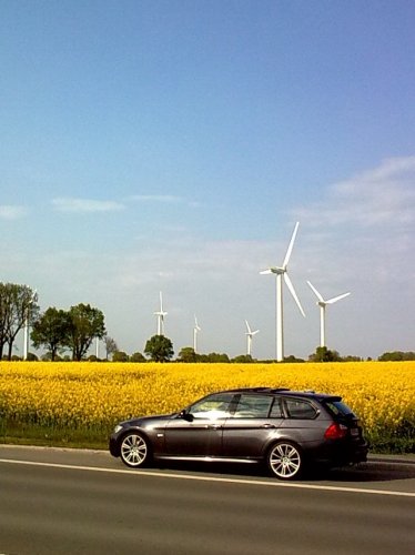 ein S.-H.-3er