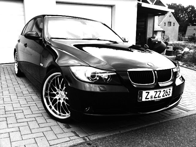 Meiner