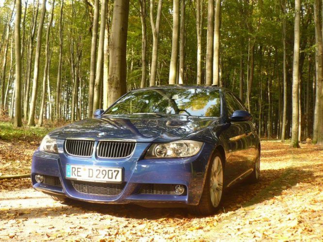 mitten im wald