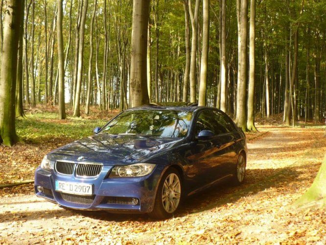 noch miiten im wald