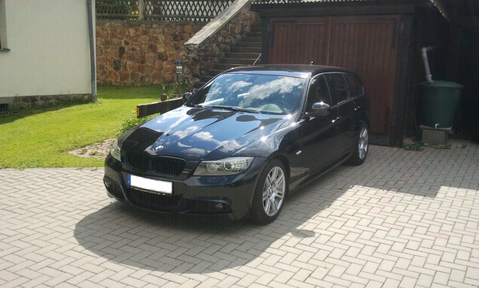 Meine Black Beauty