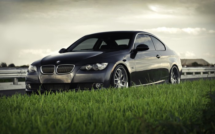 243498_bmw_-335i-coupe_-kupe_-bmv_-trava_-fokus__2560x1600_(www.