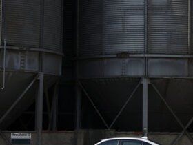DPP_07985a.jpg